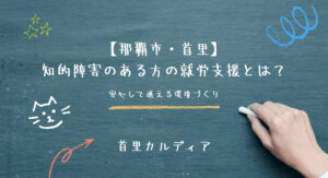 【那覇市・首里】 知的障害のある方の就労支援とは?